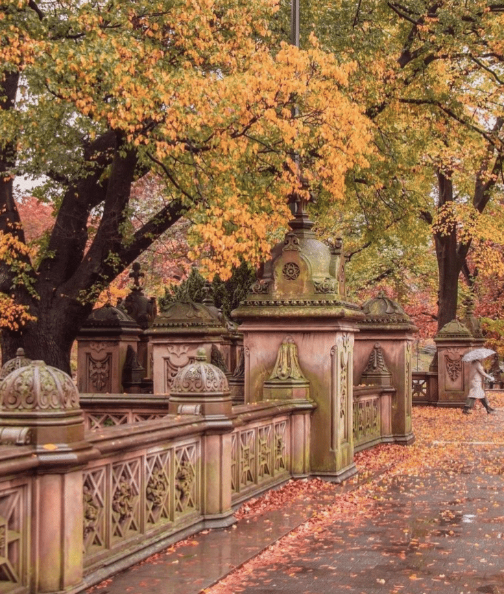 central park rainy fall day